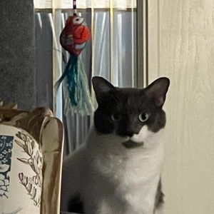 Meet your Posher, Jeanne